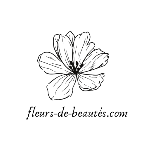 Le Blog d’Angélique