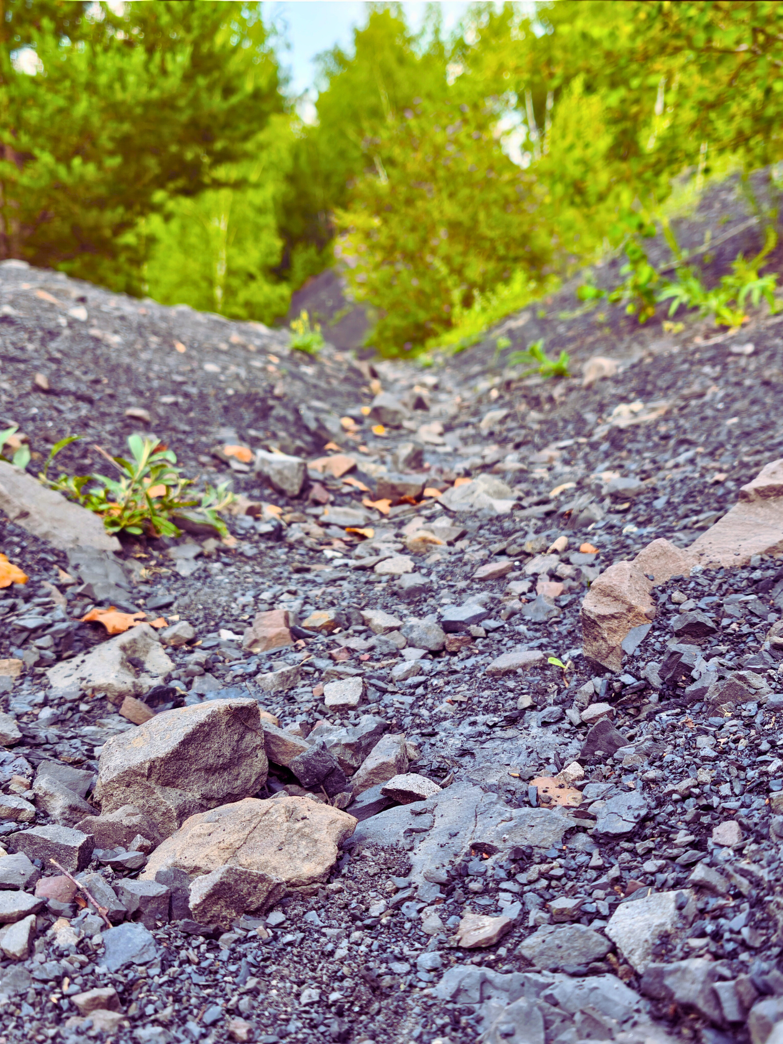 Pourquoi je suis un allié dans votre chemin vers le mieux-être